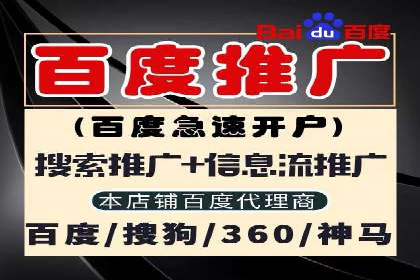 揭秘！百度竞价排名背后的成功故事